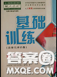 大象出版社2020年基礎(chǔ)訓(xùn)練九年級(jí)化學(xué)全一冊(cè)人教版參考答案