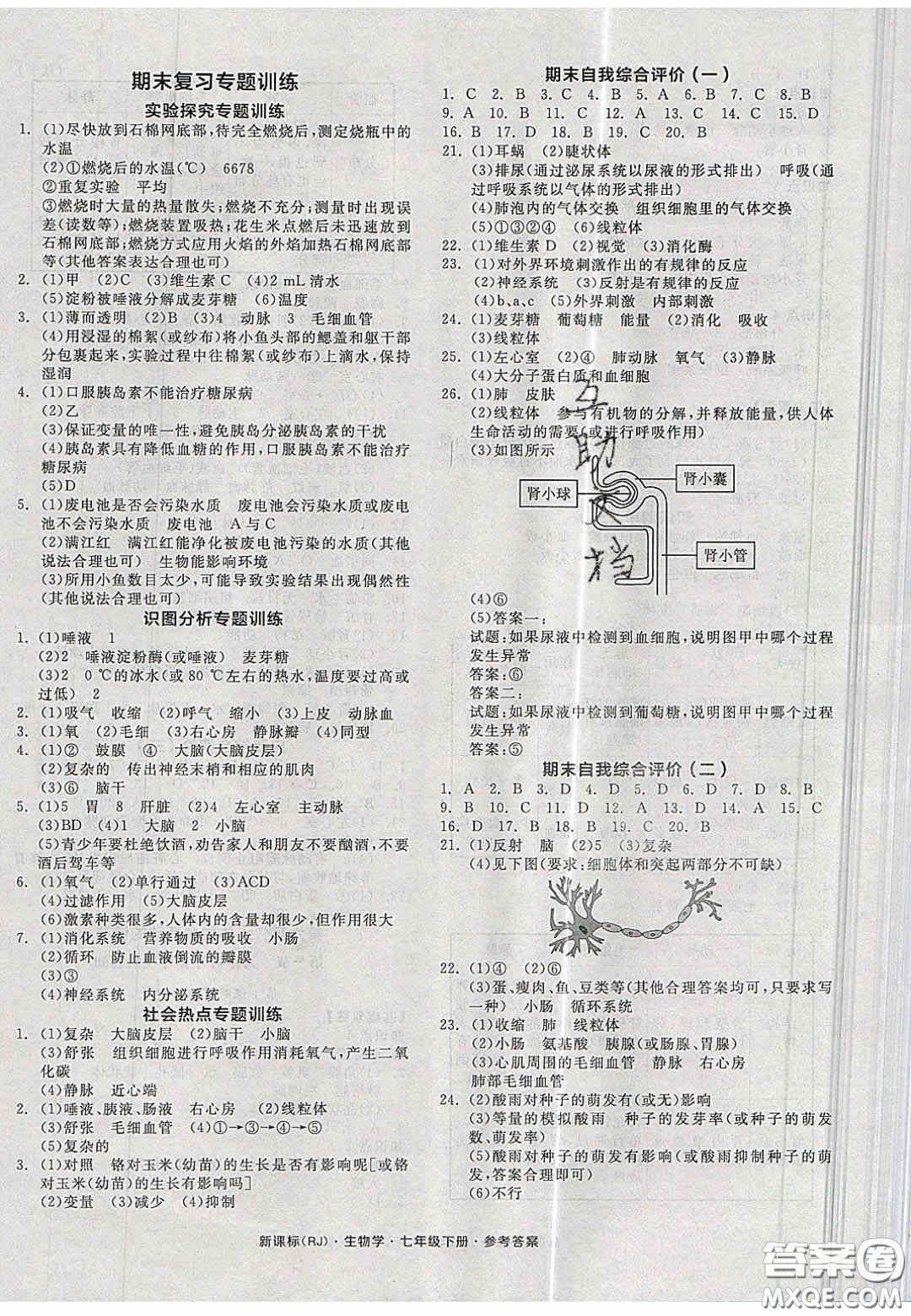 2020年期末考向標(biāo)海淀新編跟蹤突破測(cè)試卷七年級(jí)數(shù)學(xué)上冊(cè)湘教版答案