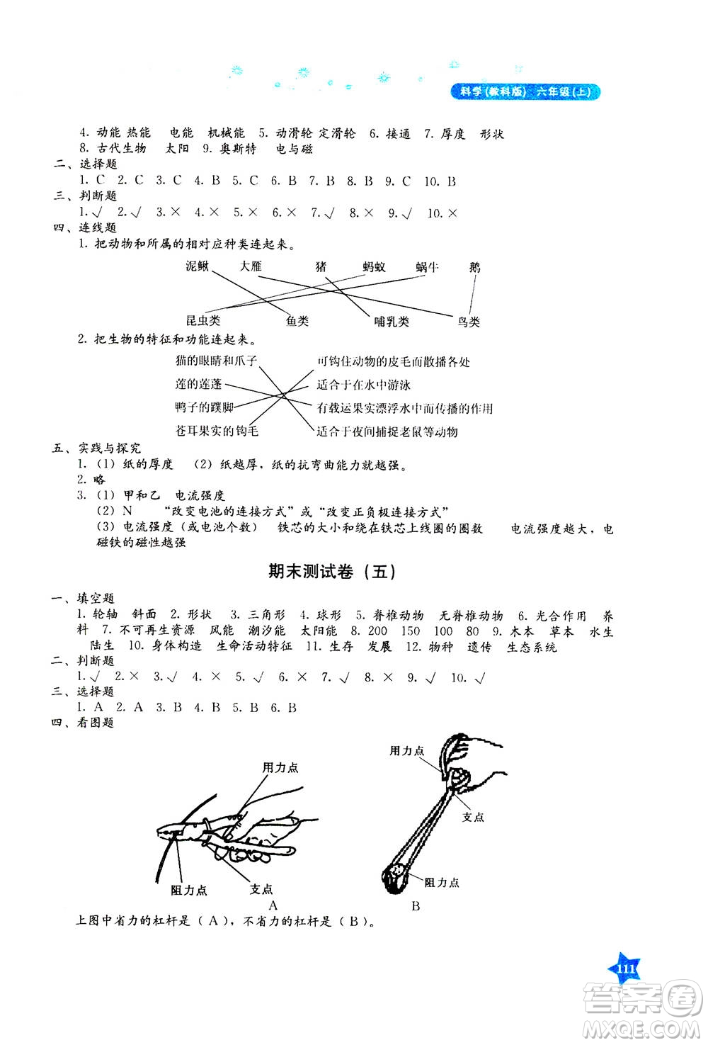 湖南教育出版社2020年學法大視野科學六年級上冊教科版答案