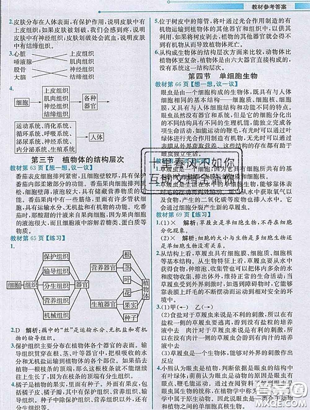 人民教育出版社2020秋課本教材七年級生物上冊人教版參考答案