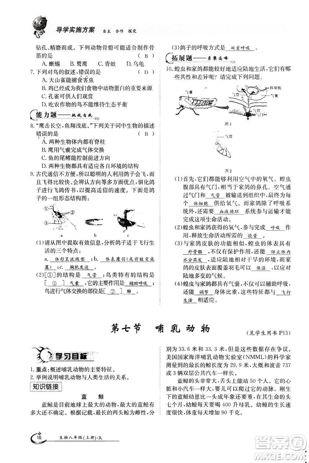 江西高校出版社2020年金太陽(yáng)導(dǎo)學(xué)案生物八年級(jí)上冊(cè)人教版答案