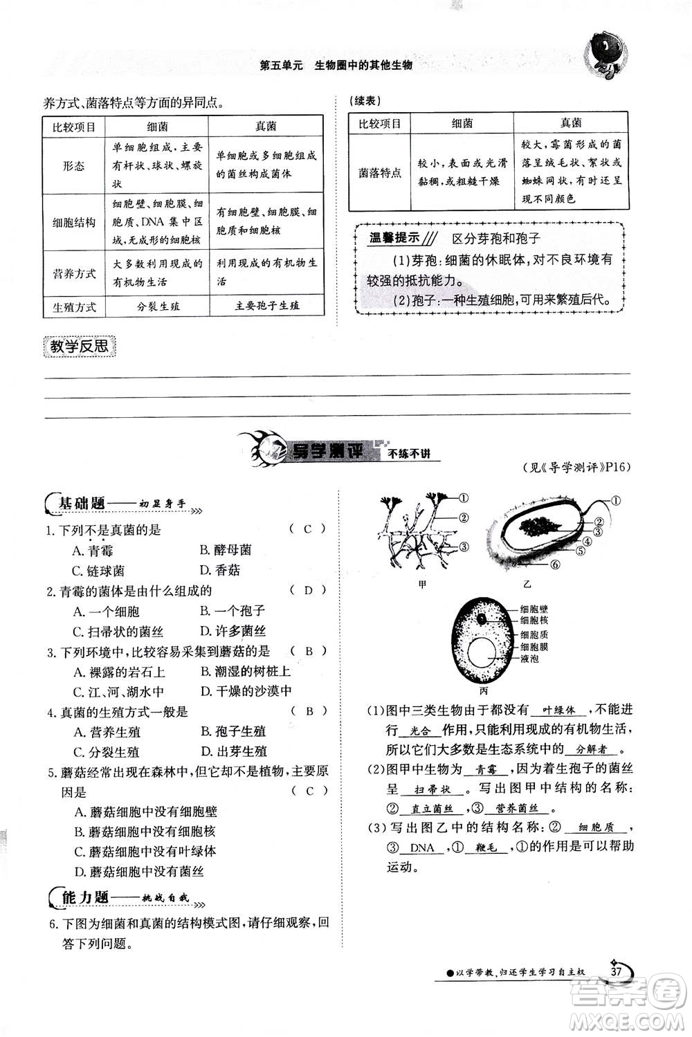 江西高校出版社2020年金太陽(yáng)導(dǎo)學(xué)案生物八年級(jí)上冊(cè)人教版答案