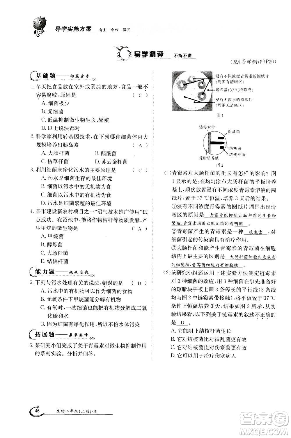 江西高校出版社2020年金太陽(yáng)導(dǎo)學(xué)案生物八年級(jí)上冊(cè)人教版答案