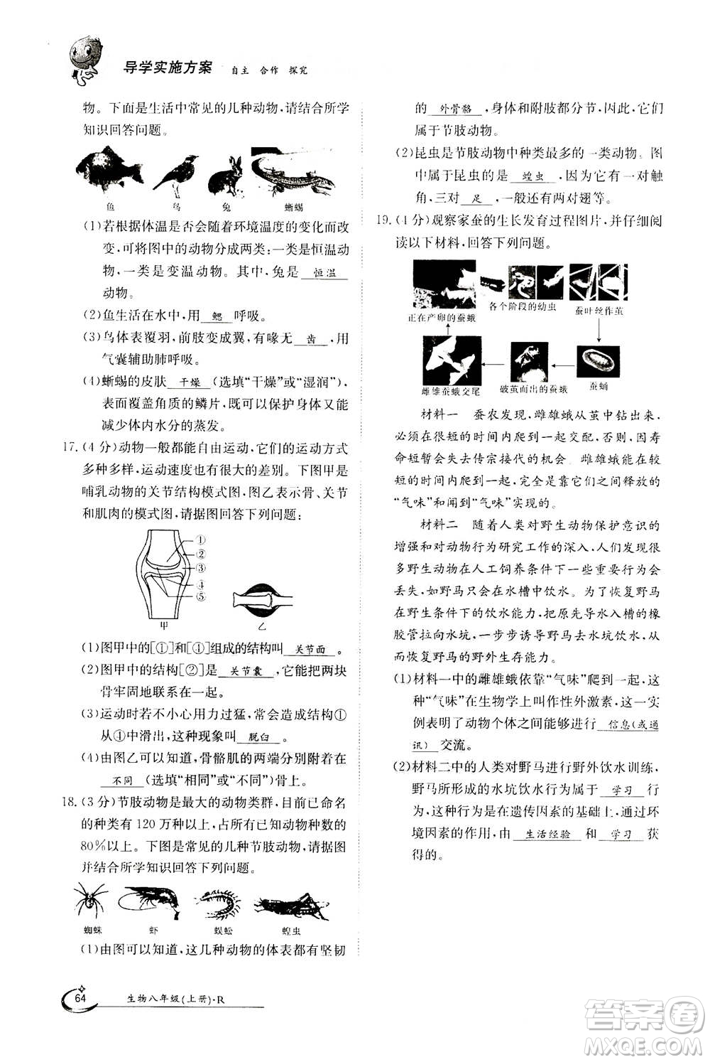 江西高校出版社2020年金太陽(yáng)導(dǎo)學(xué)案生物八年級(jí)上冊(cè)人教版答案