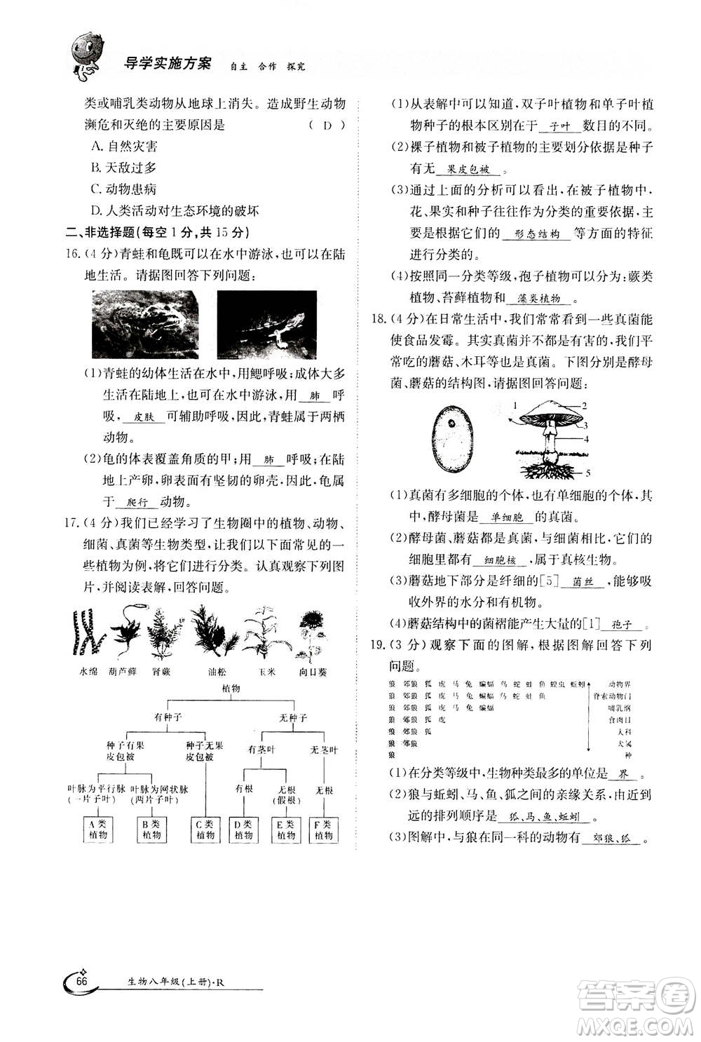 江西高校出版社2020年金太陽(yáng)導(dǎo)學(xué)案生物八年級(jí)上冊(cè)人教版答案