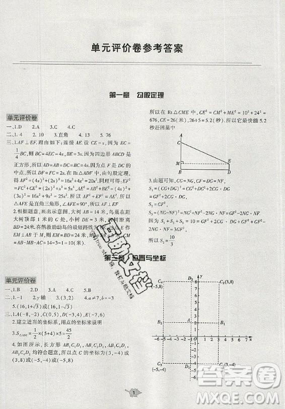 大象出版社2019年基礎(chǔ)訓(xùn)練八年級(jí)上冊(cè)數(shù)學(xué)北師大版答案