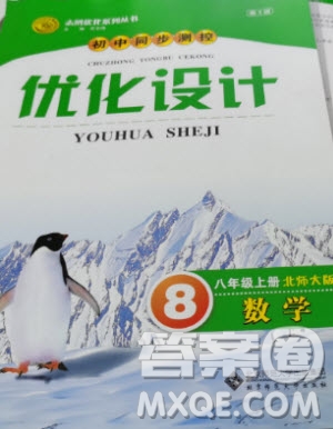 2020年初中同步測控優(yōu)化設(shè)計八年級上冊數(shù)學(xué)北師大版參考答案