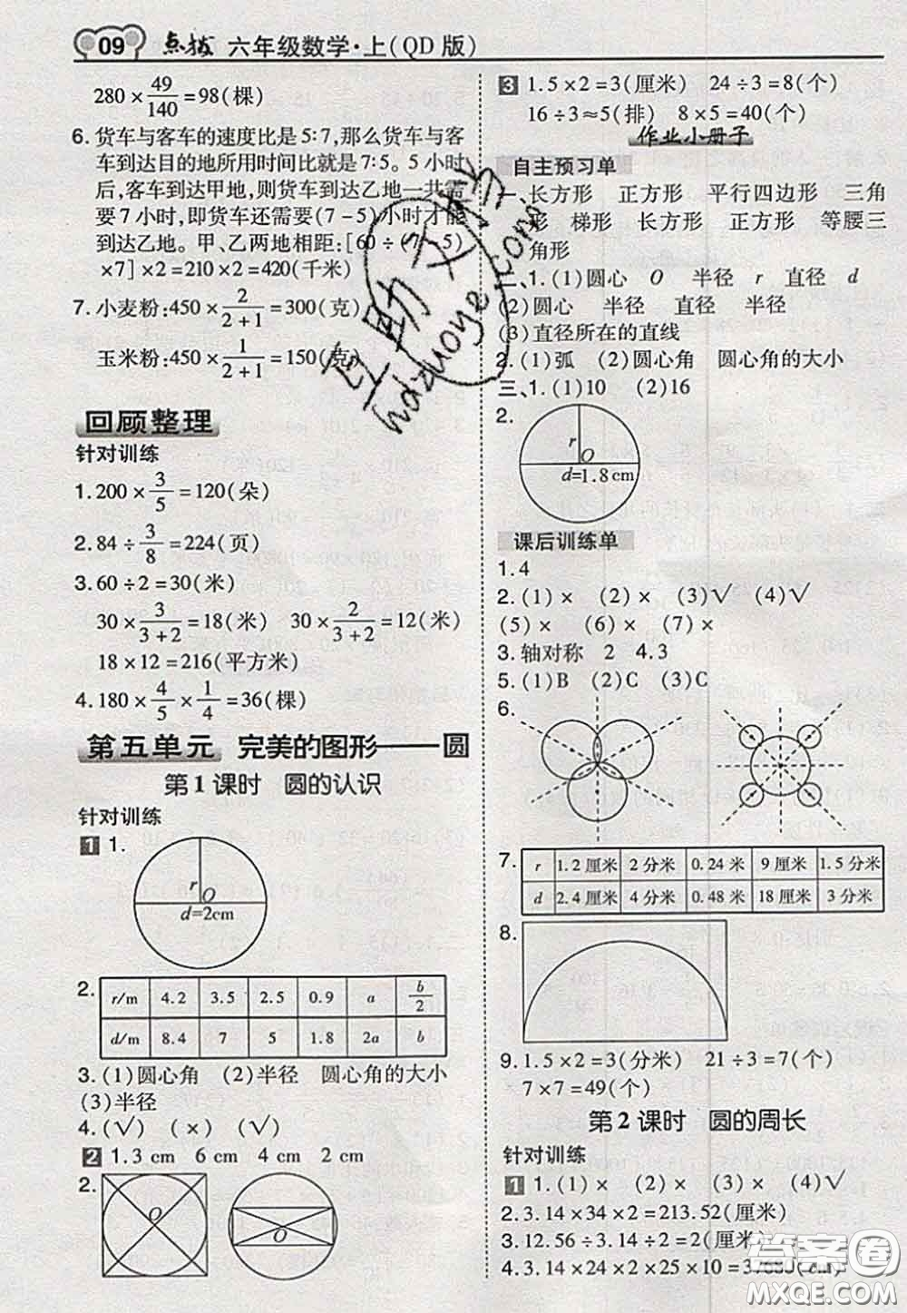 2020秋榮德基特高級教師點(diǎn)撥六年級數(shù)學(xué)上冊青島版參考答案