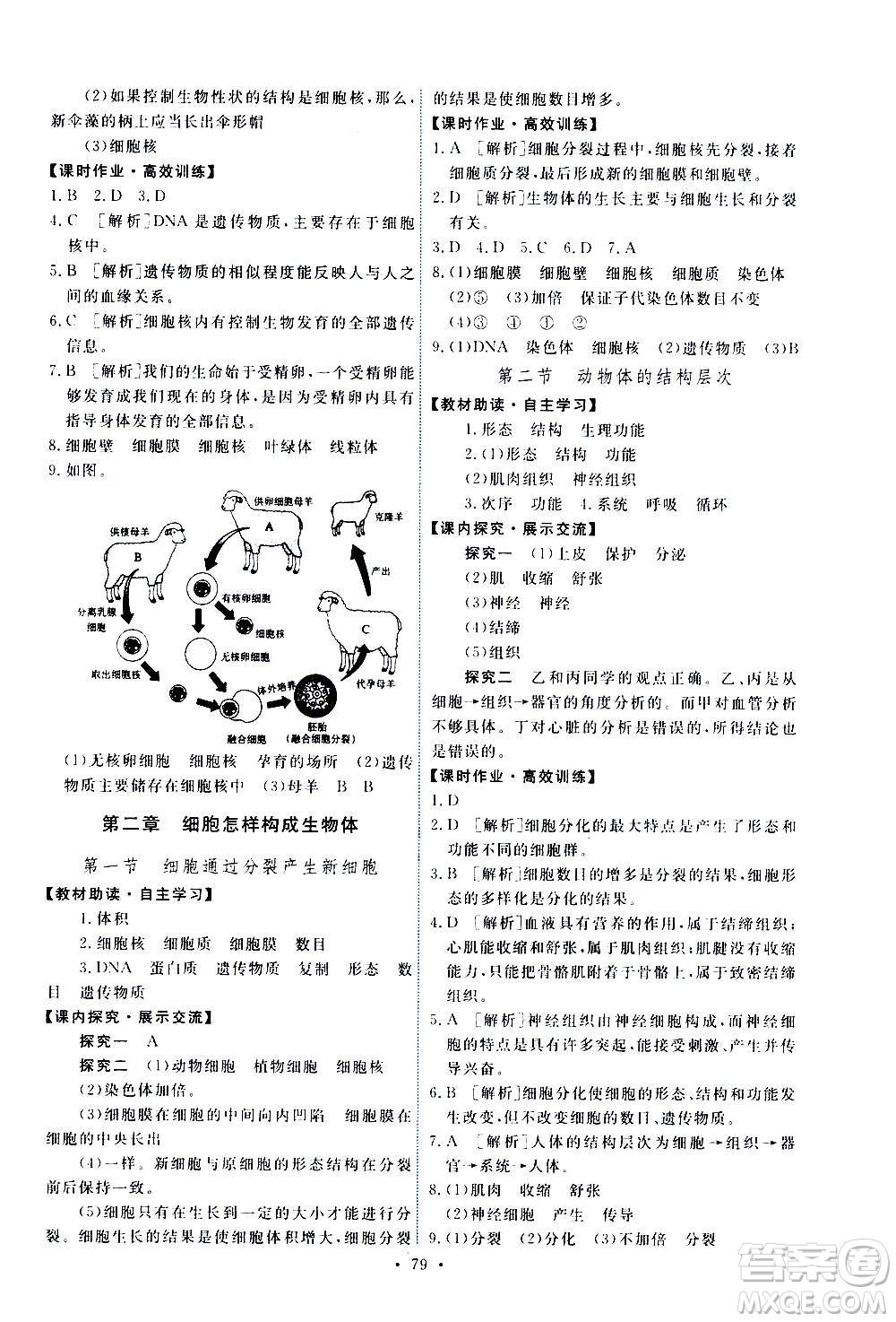 人民教育出版社2020年能力培養(yǎng)與測試生物學(xué)七年級上冊人教版答案