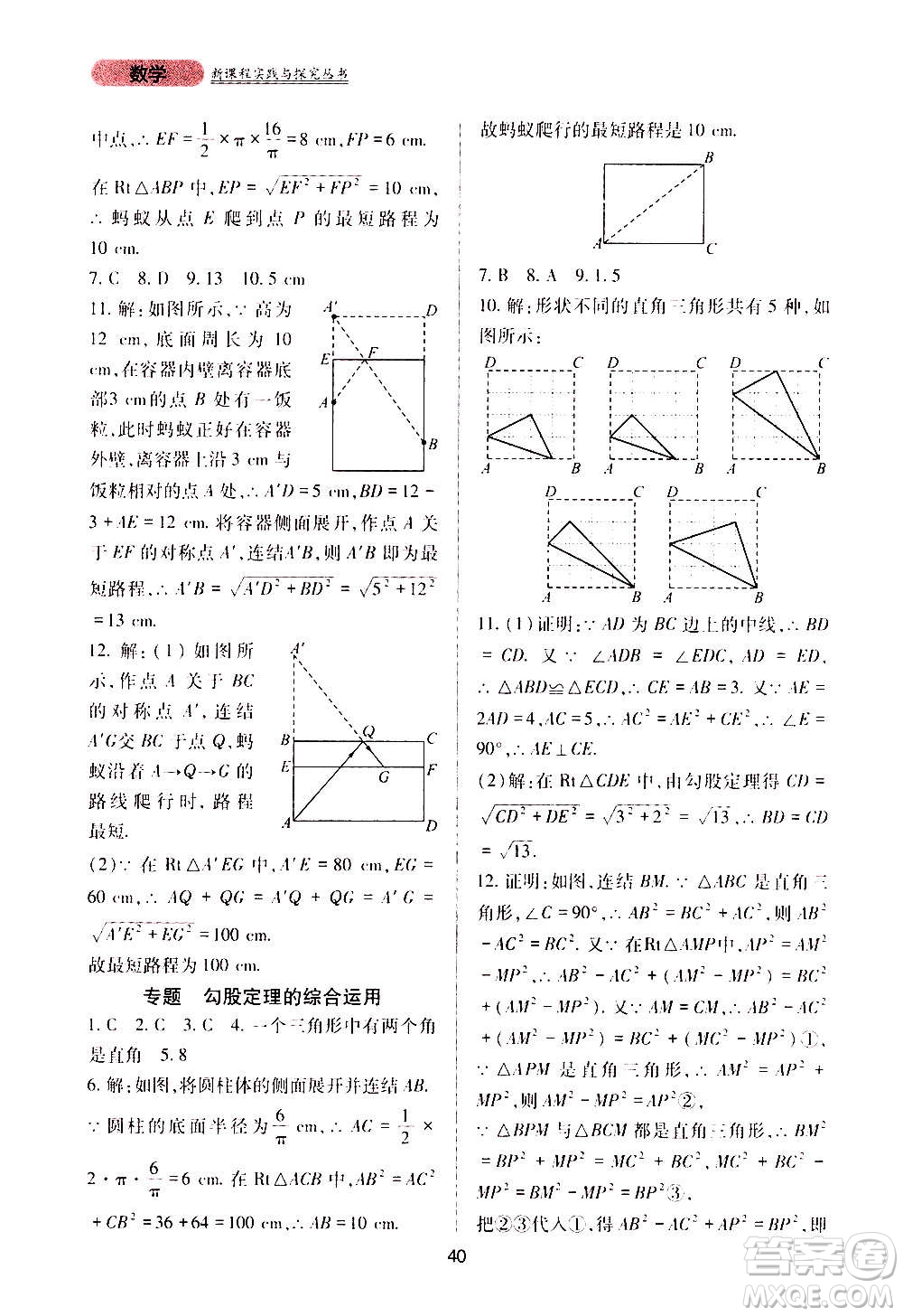 四川教育出版社2020年新課程實踐與探究叢書數(shù)學(xué)八年級上冊華東師大版答案