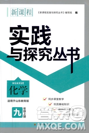 四川教育出版社2020年新課程實(shí)踐與探究叢書化學(xué)九年級(jí)上冊(cè)山東教育版版答案