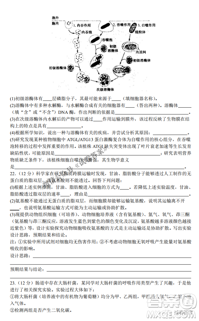 河南省名校聯(lián)盟2021屆高三10月質量檢測生物試題及答案