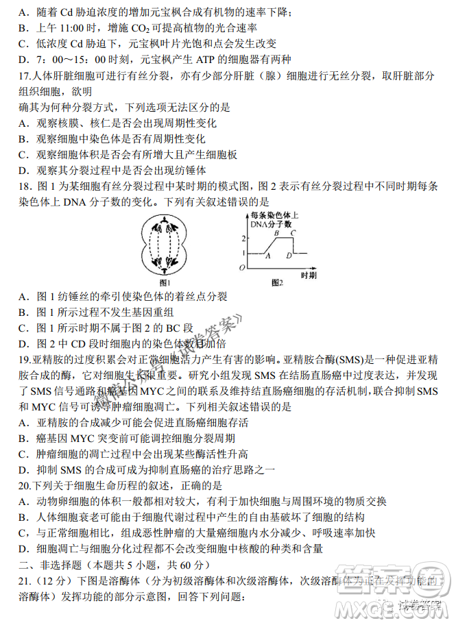 河南省名校聯(lián)盟2021屆高三10月質量檢測生物試題及答案