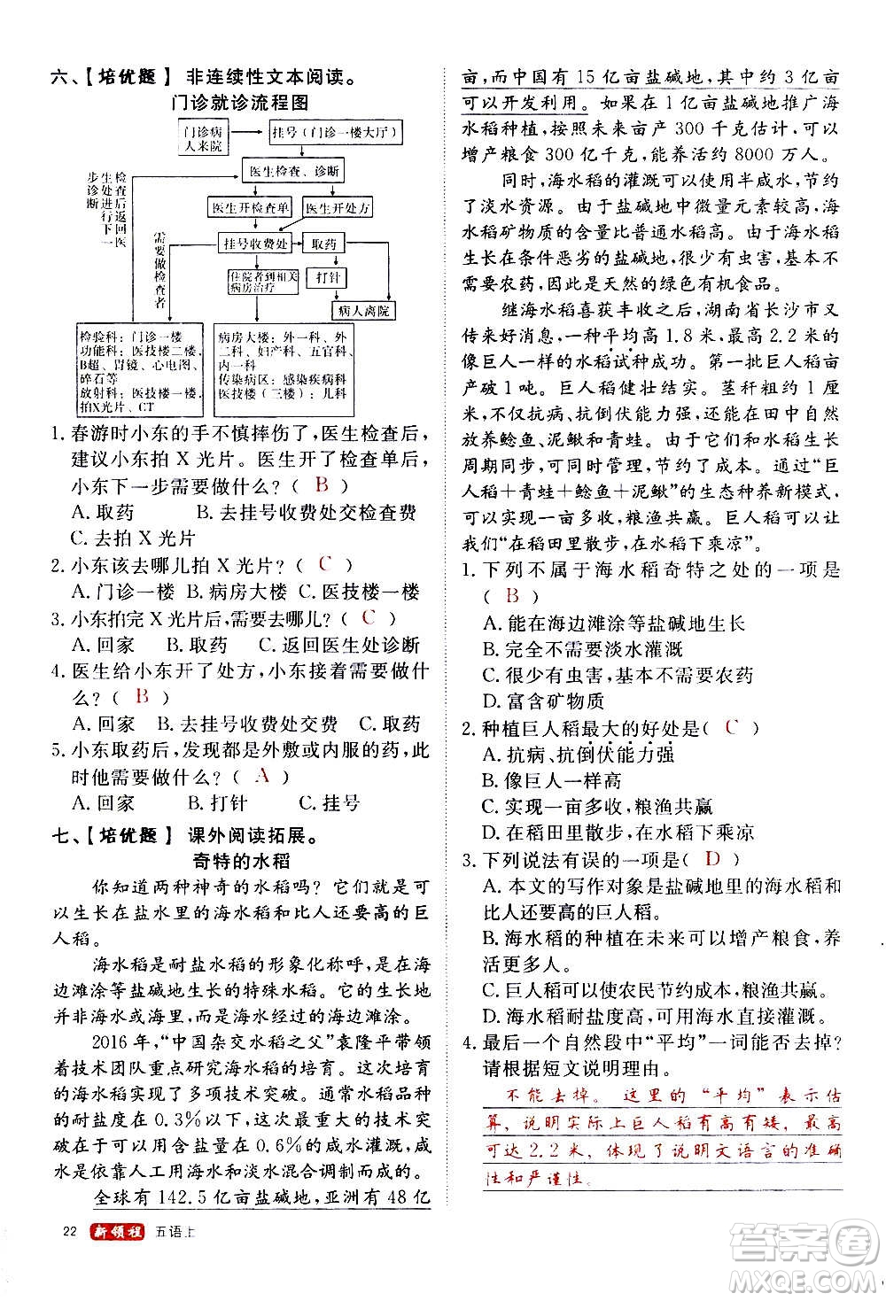 延邊大學(xué)出版社2020年新領(lǐng)程語(yǔ)文五年級(jí)上冊(cè)人教版答案