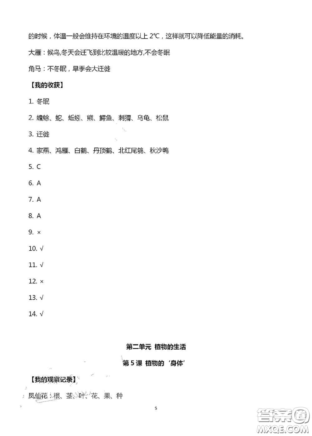 山東美術(shù)出版社2020新課堂同步體驗(yàn)與探究三年級科學(xué)上冊答案