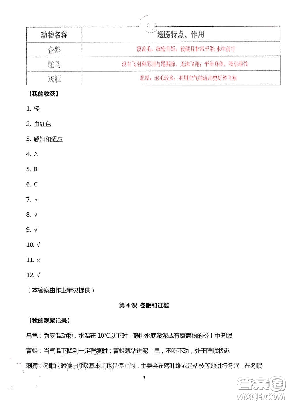 山東美術(shù)出版社2020新課堂同步體驗(yàn)與探究三年級科學(xué)上冊答案