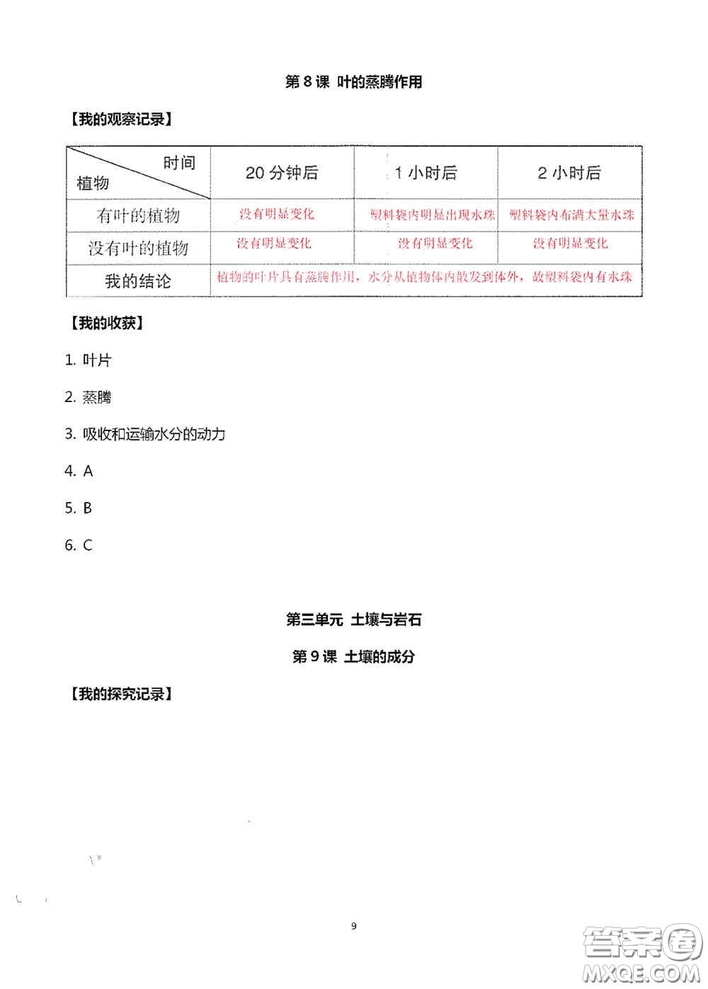 山東美術(shù)出版社2020新課堂同步體驗(yàn)與探究三年級科學(xué)上冊答案