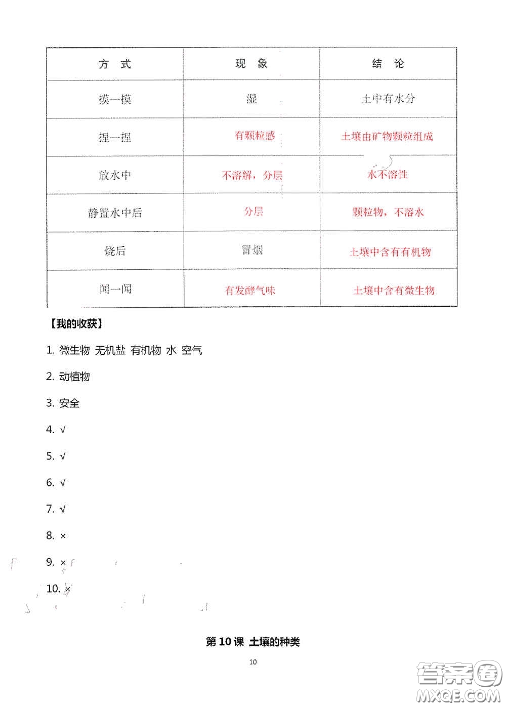 山東美術(shù)出版社2020新課堂同步體驗(yàn)與探究三年級科學(xué)上冊答案