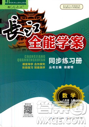 2020年長江全能學(xué)案同步練習(xí)冊數(shù)學(xué)八年級上冊人教版參考答案