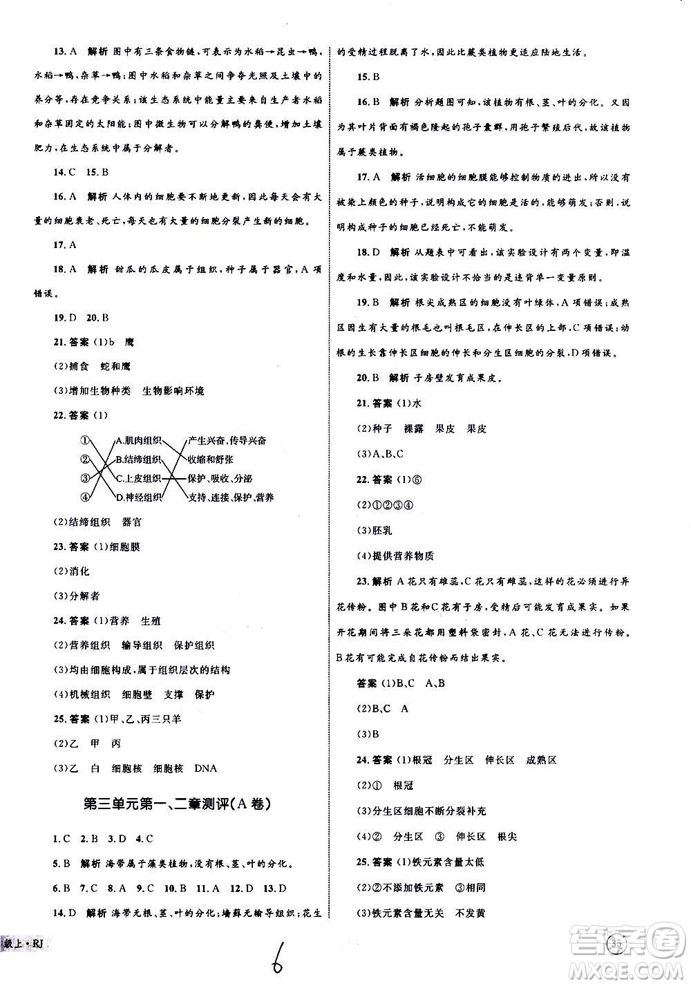 2020年優(yōu)化設(shè)計單元測試卷生物七年級上冊RJ人教版答案