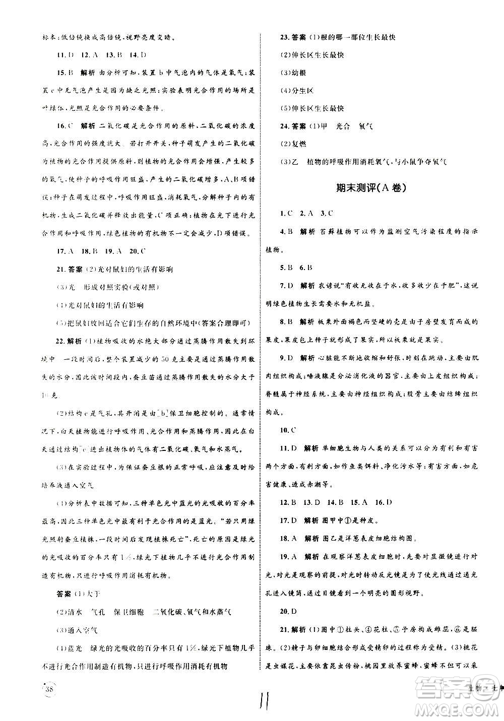 2020年優(yōu)化設(shè)計單元測試卷生物七年級上冊RJ人教版答案