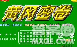 武漢出版社2020年黃岡密卷數(shù)學(xué)七年級上冊RJ人教版答案