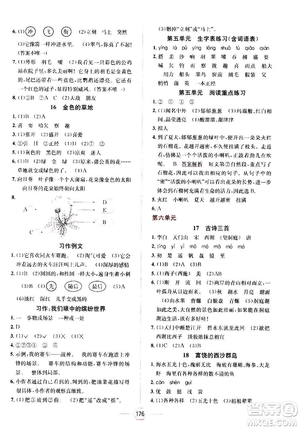 現(xiàn)代教育出版社2020年走向優(yōu)等生三年級語文上冊部編版答案