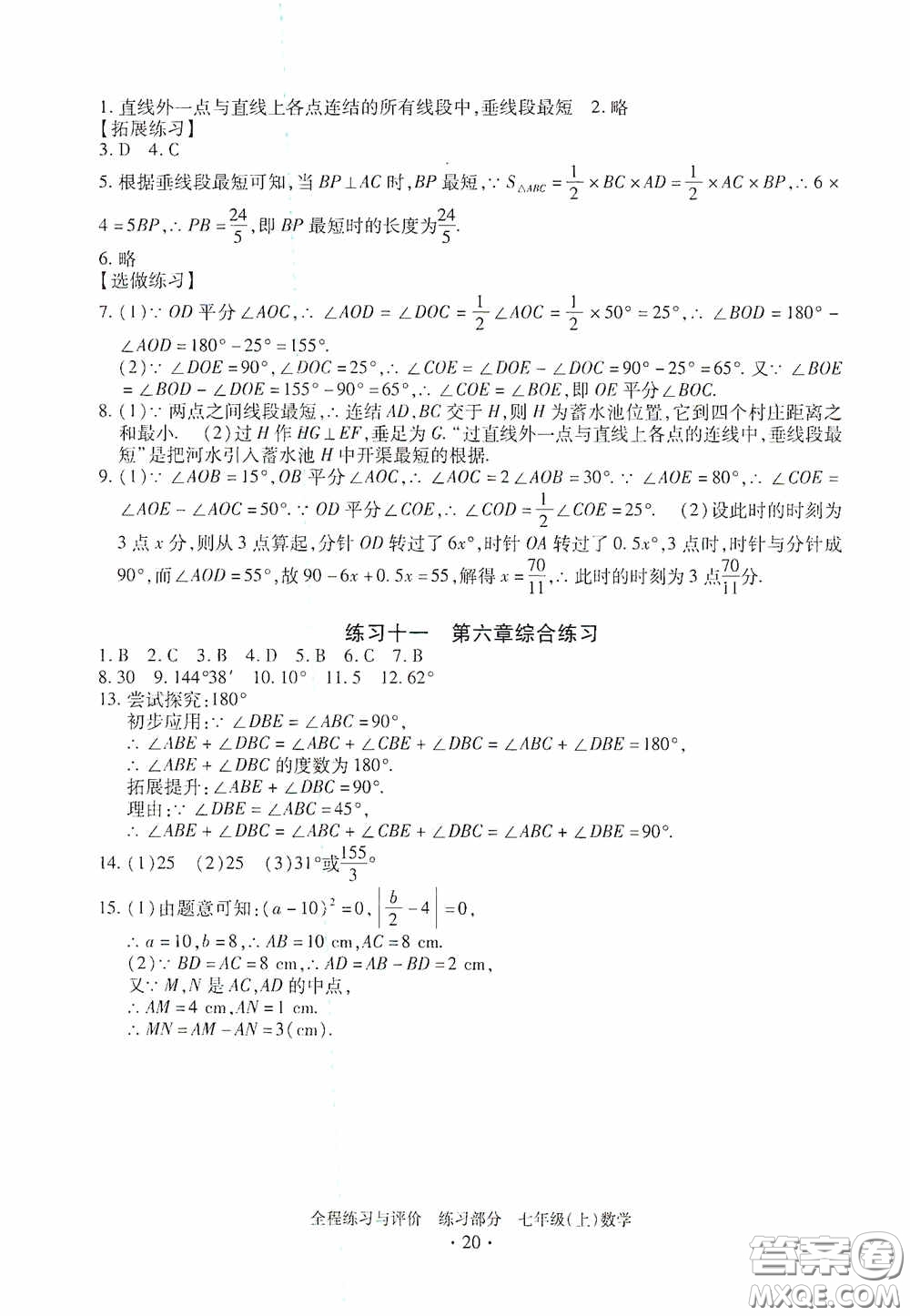 浙江人民出版社2020全程練習(xí)與評價(jià)七年級數(shù)學(xué)上冊ZH版答案