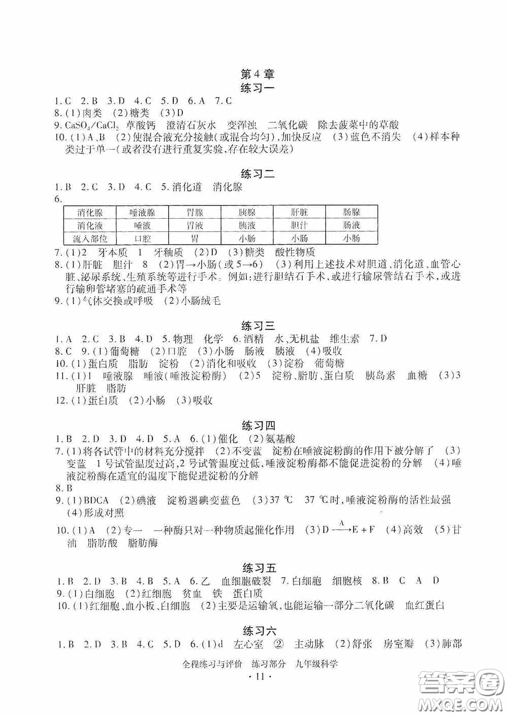 浙江人民出版社2020全程練習(xí)與評(píng)價(jià)九年級(jí)科學(xué)全一冊ZH版答案