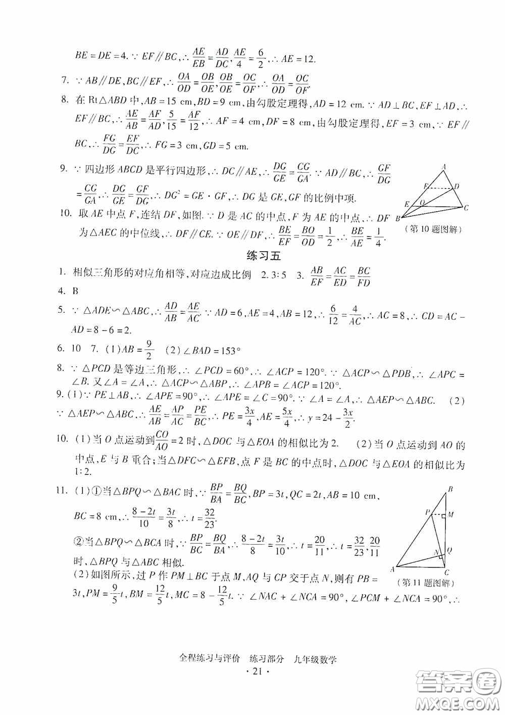 浙江人民出版社2020全程練習(xí)與評(píng)價(jià)九年級(jí)數(shù)學(xué)全一冊(cè)ZH版答案