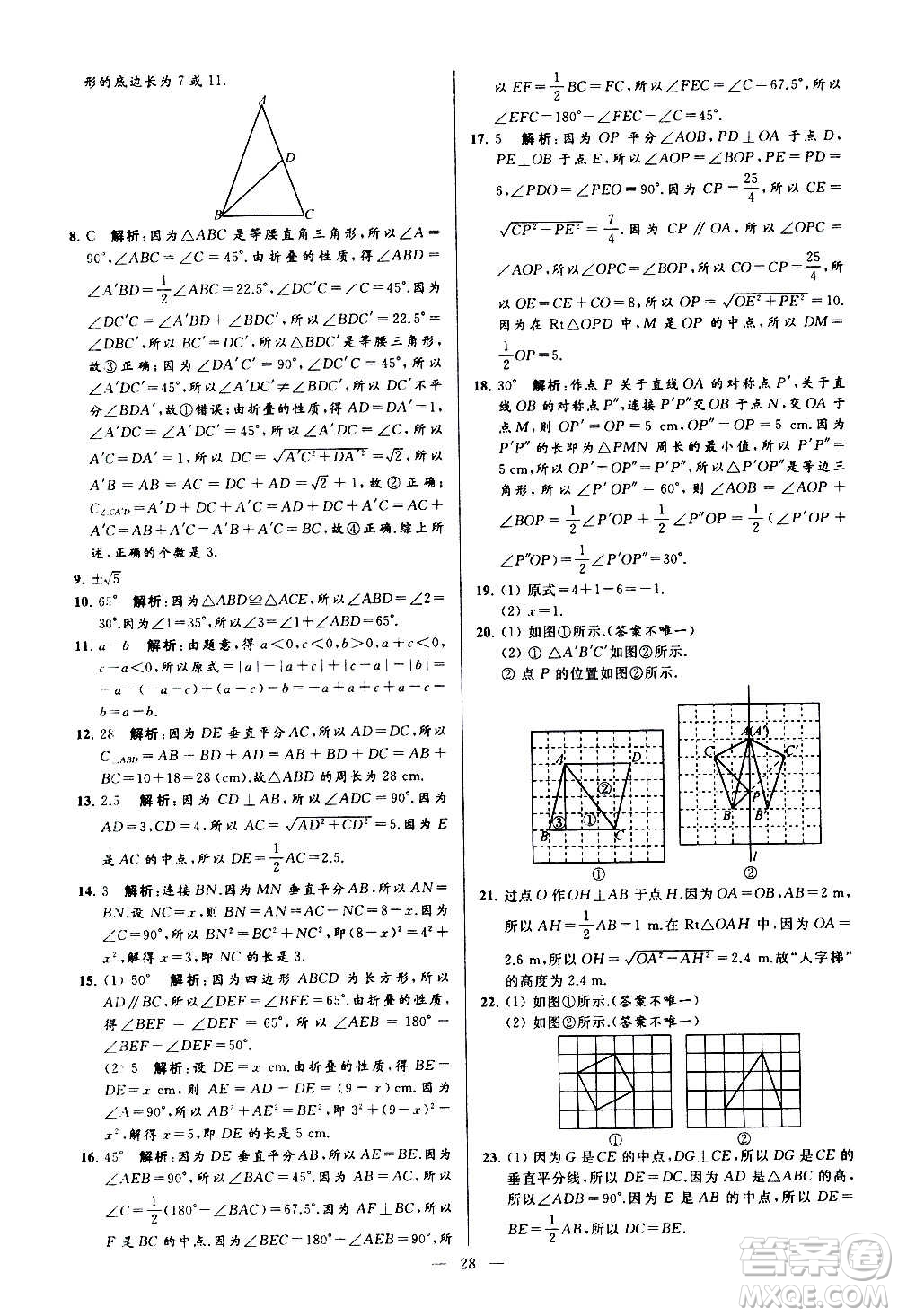 新世紀出版社2020秋季亮點給力大試卷數(shù)學八年級上冊蘇教版答案