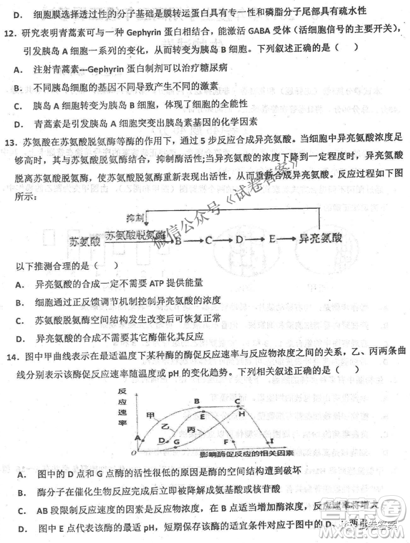 2020年衡水中學(xué)高三年級期中考試生物試卷及答案