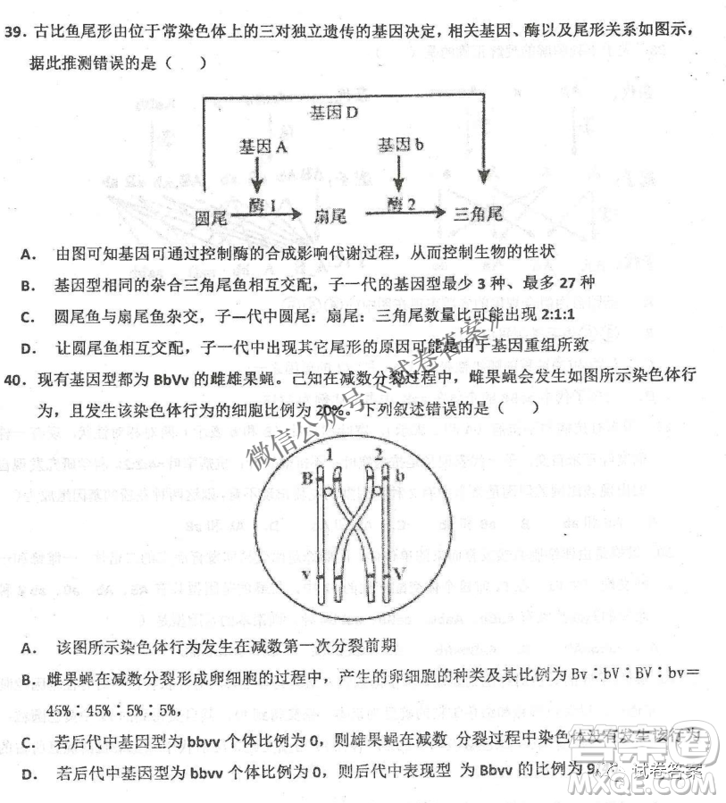 2020年衡水中學(xué)高三年級期中考試生物試卷及答案