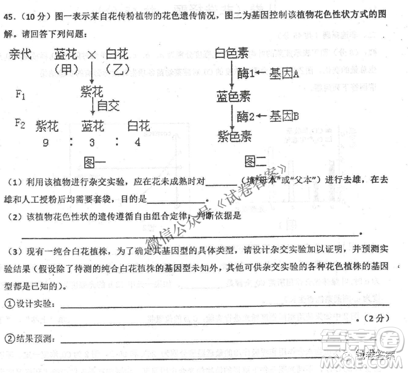 2020年衡水中學(xué)高三年級期中考試生物試卷及答案