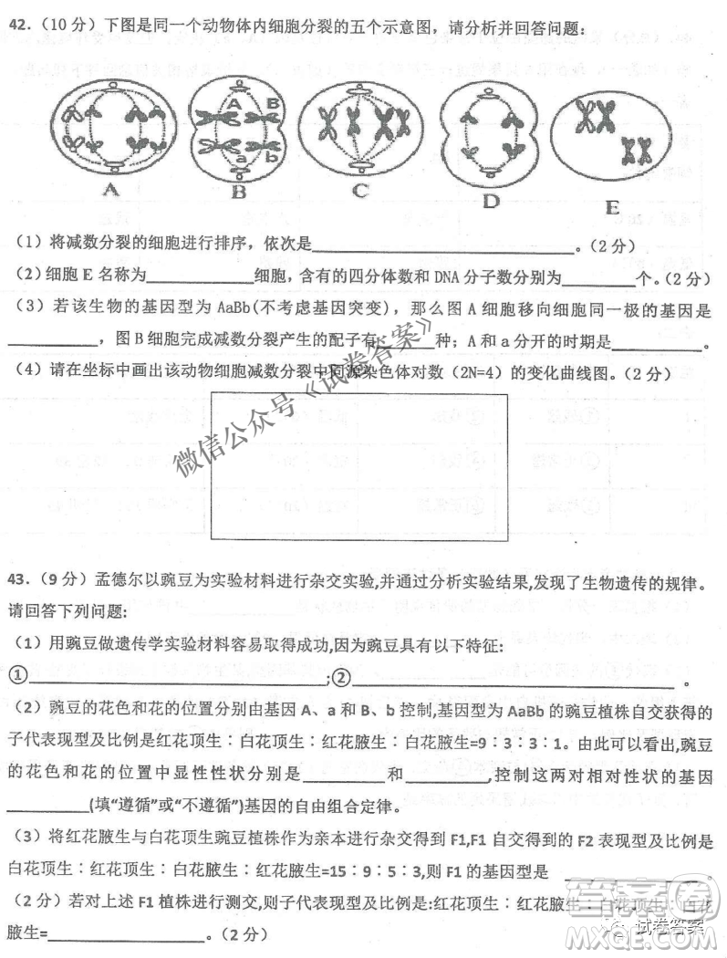 2020年衡水中學(xué)高三年級期中考試生物試卷及答案