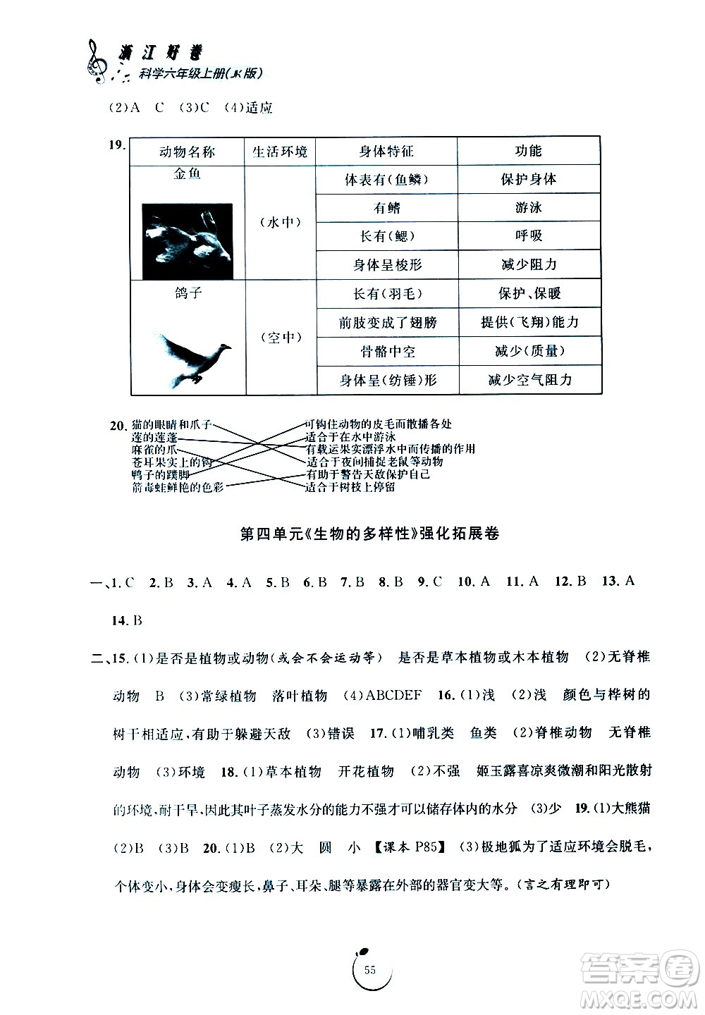 寧波出版社2020年浙江好卷科學(xué)六年級上冊JK教科版答案