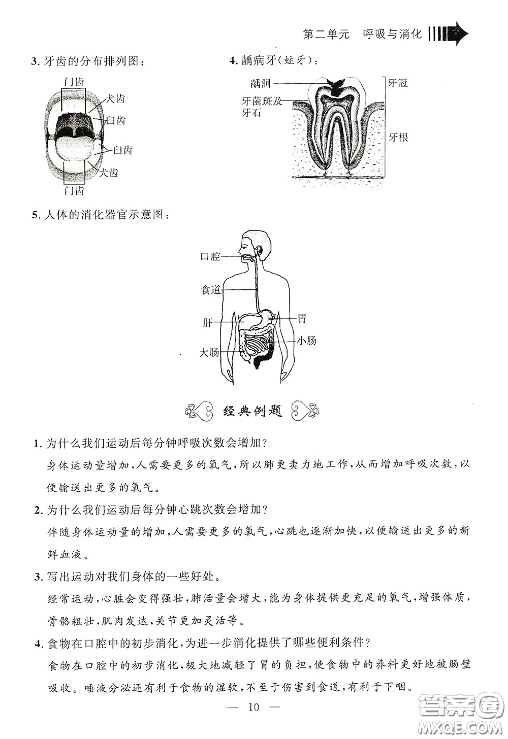 寧波出版社2020迎考復習清單四年級科學上冊答案