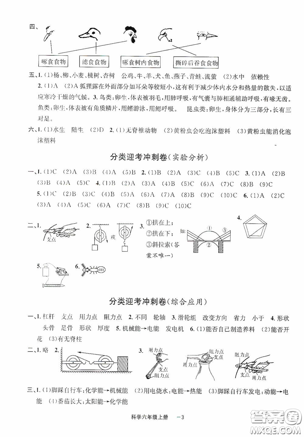 寧波出版社2020浙江各地期末迎考卷六年級(jí)科學(xué)上冊(cè)冀教版答案