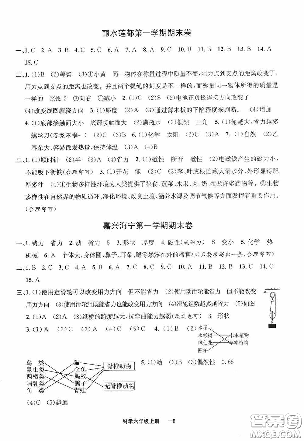 寧波出版社2020浙江各地期末迎考卷六年級(jí)科學(xué)上冊(cè)冀教版答案