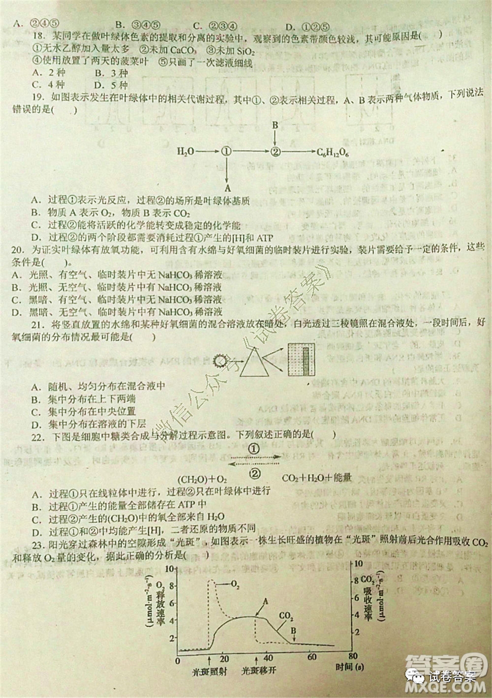 2021屆毛坦廠期中考試應屆生物試題及答案