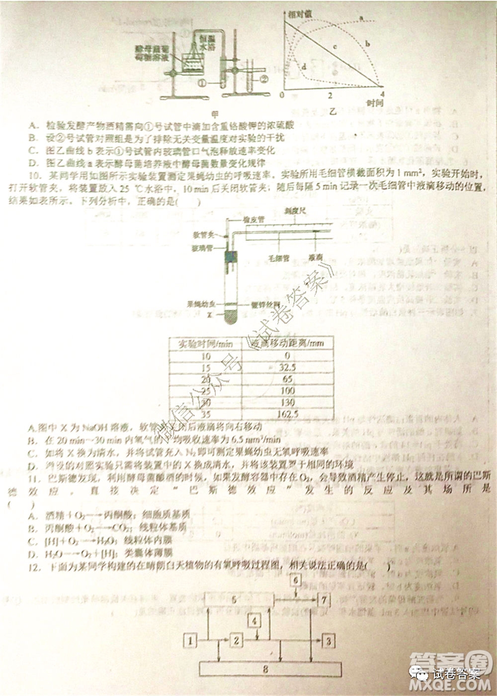 2021屆毛坦廠期中考試應屆生物試題及答案