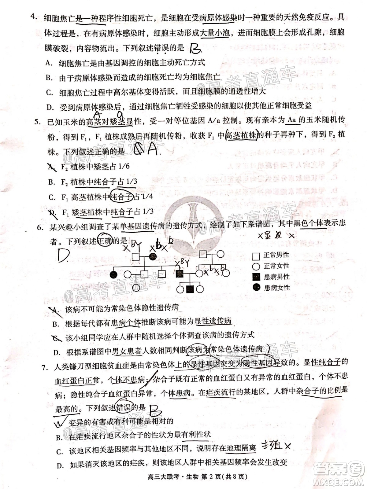 廣東省2021屆普通高中學(xué)業(yè)質(zhì)量聯(lián)合測(cè)評(píng)高三生物試題及答案