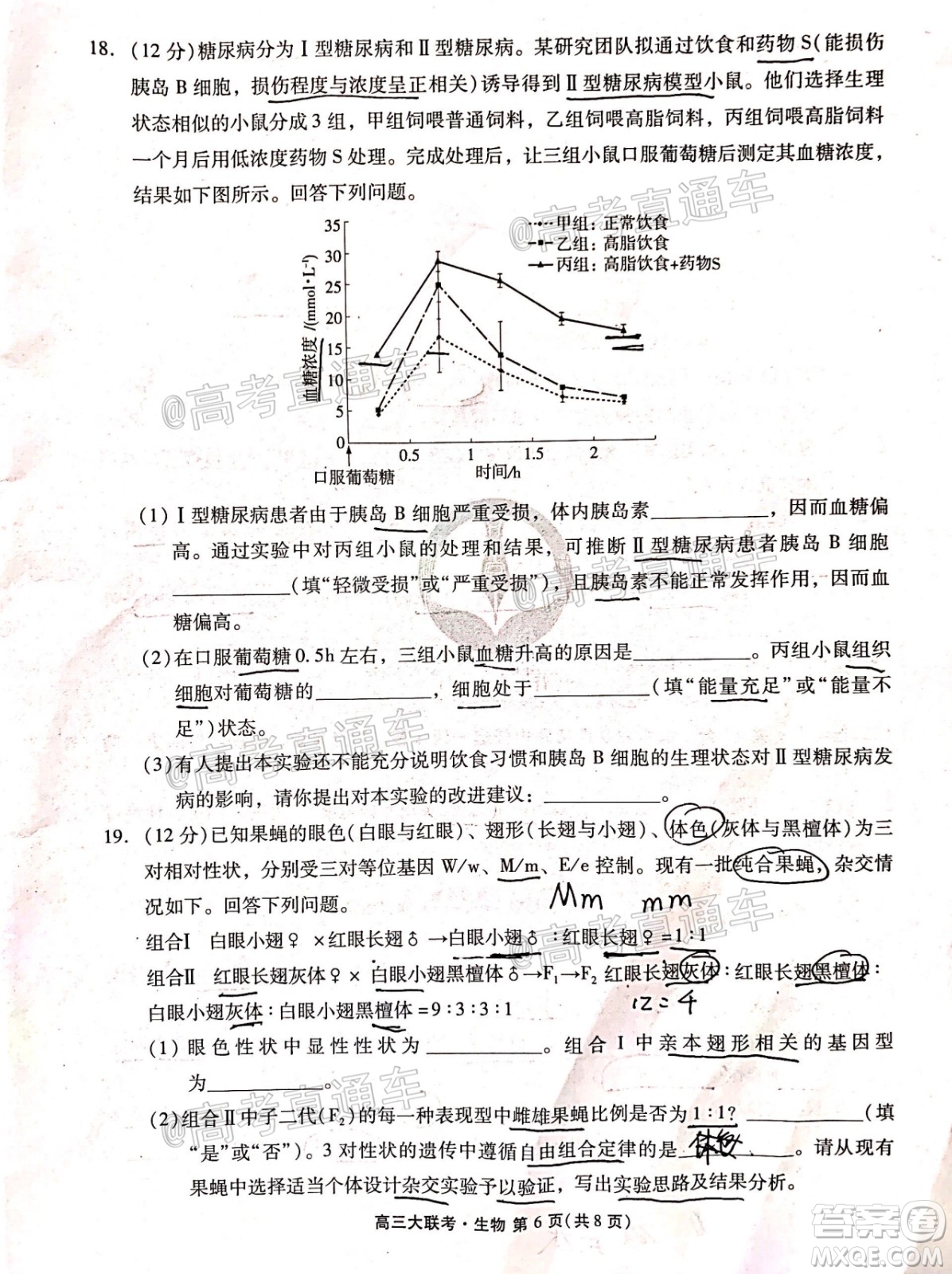 廣東省2021屆普通高中學(xué)業(yè)質(zhì)量聯(lián)合測(cè)評(píng)高三生物試題及答案