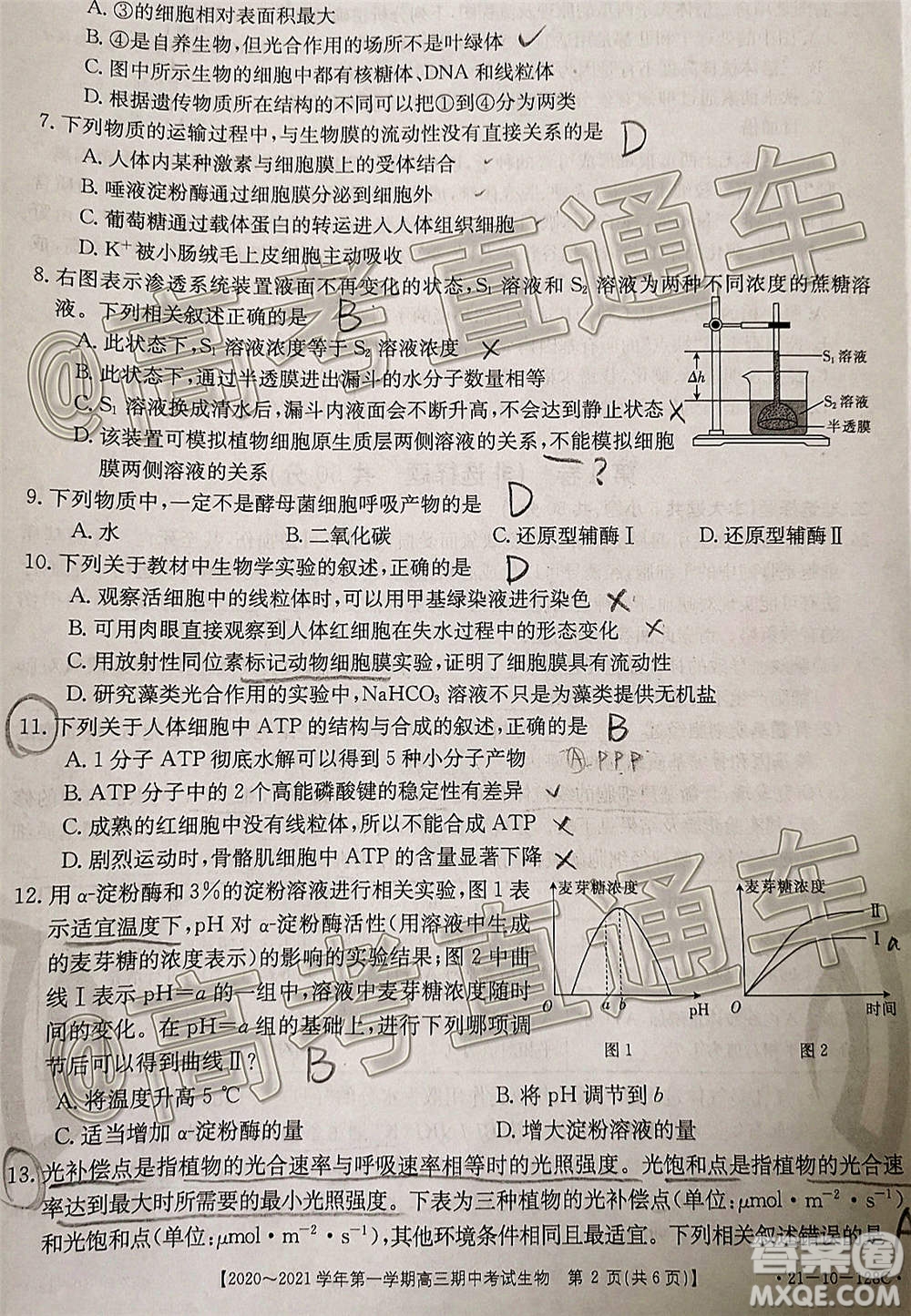 江西金太陽2020-2021學(xué)年第一學(xué)期高三期中考試生物試題及答案