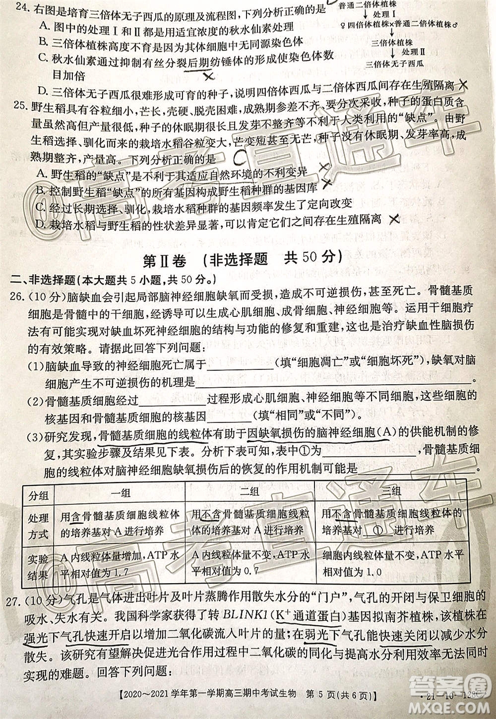 江西金太陽2020-2021學(xué)年第一學(xué)期高三期中考試生物試題及答案