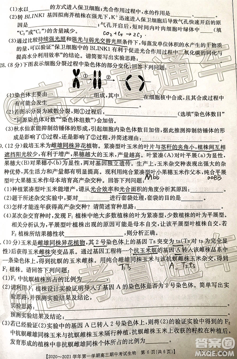 江西金太陽2020-2021學(xué)年第一學(xué)期高三期中考試生物試題及答案