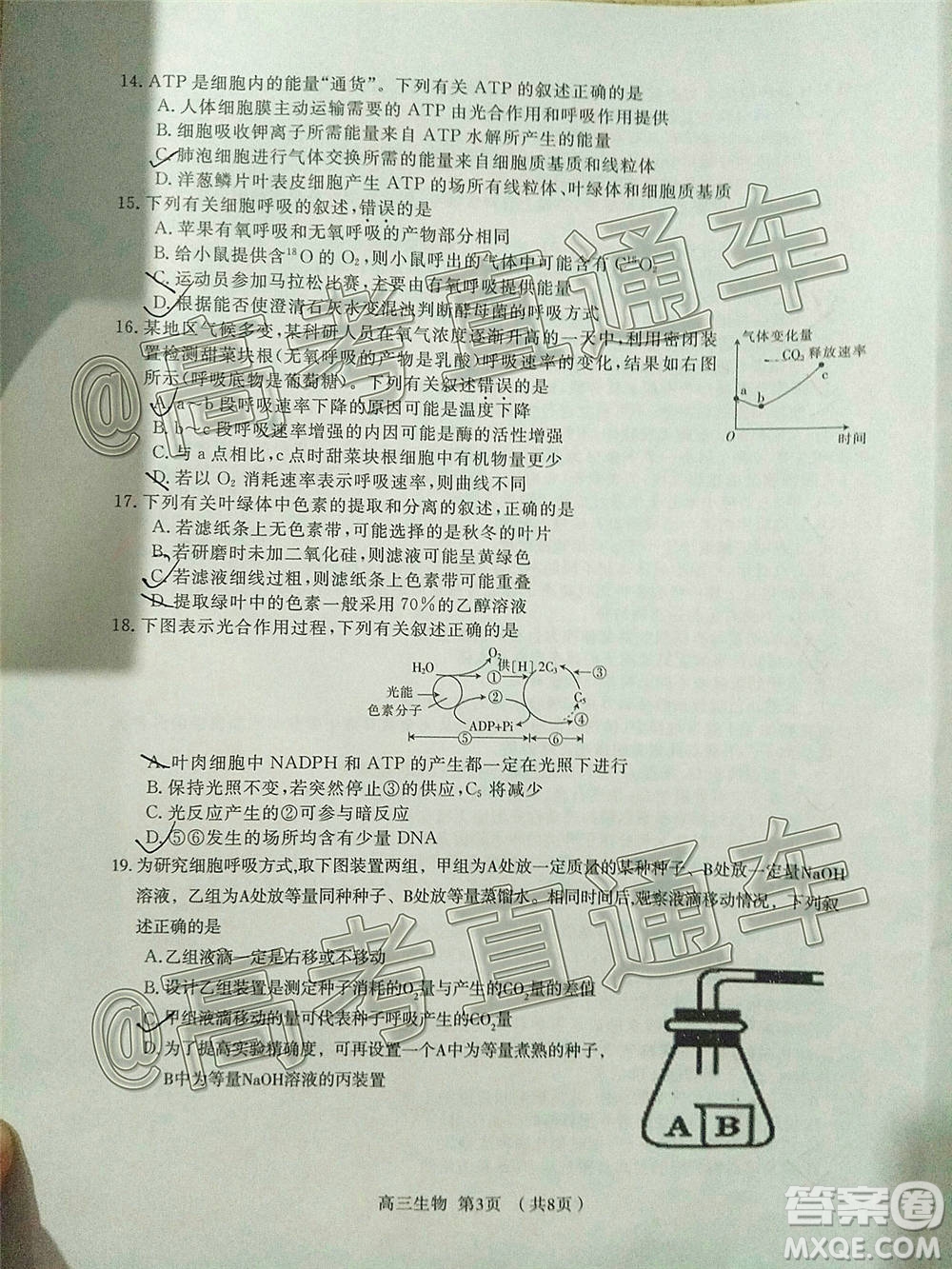 長(zhǎng)治市2020-2021學(xué)年度高三年級(jí)11月份質(zhì)量監(jiān)測(cè)生物試題及答案