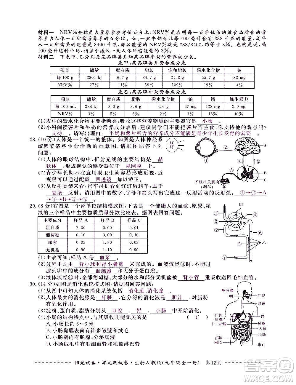 江西高校出版社2020陽光試卷單元測試卷生物九年級全一冊人教版答案