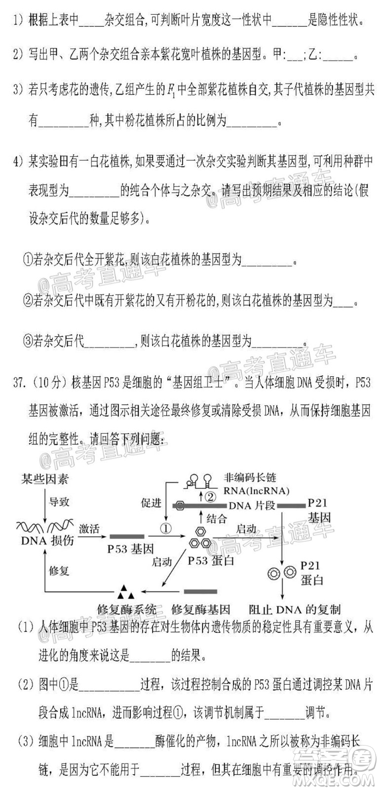 2021屆遼寧六校高三期中聯(lián)考生物試題及答案