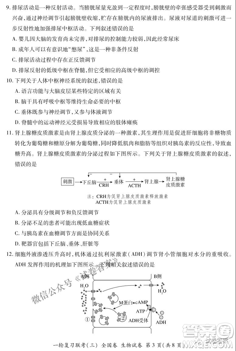 百師聯(lián)盟2021屆高三一輪復(fù)習(xí)聯(lián)考三全國卷生物試題及答案